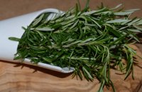 320x320: FOOD-ROSEMARY