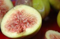 fig