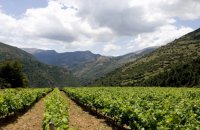 Δρόμοι του Κρασιού της Βορείου Ελλάδος-Η πρώτη Διαδρομή