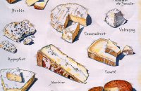 The Families of French Cheese