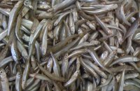 Fried Smelt 