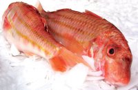 Marinated Red Mullet