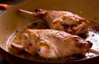 The Mediterranean's Rabbit Repertoire