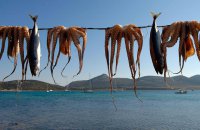seafood, octopus, fresh seafood, speargun, spearfishing, Greek fishmongers