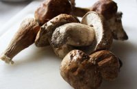 Crispy Potato with Porcini Mushrooms and Polpette