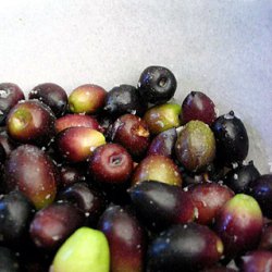  FOOD - OLIVES