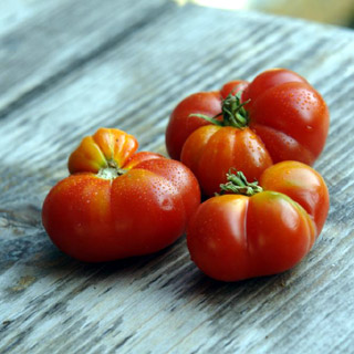 tomato