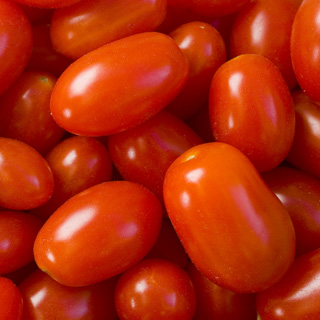 320 x 320: FOOD - PLUM TOMATOES