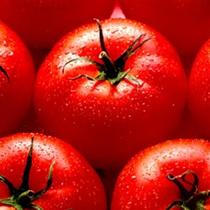 easy to do tamato sauces, vegetables meals, healthy mediterranean food, recipes for marinated vegetables, marinated tomatoes