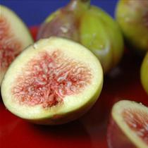 fig
