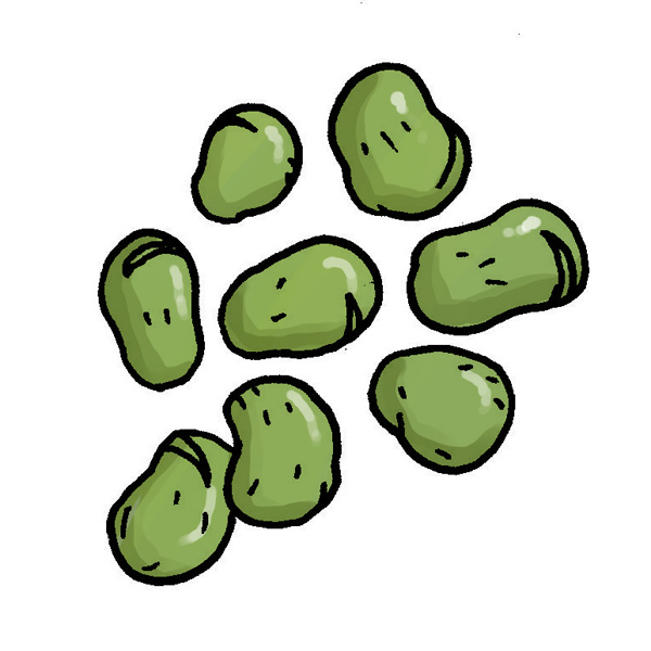 broad beans