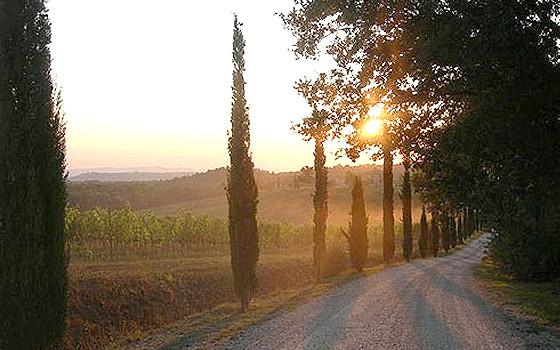 Podere Dionora 2, Montepulciano, Tuscany, Italy