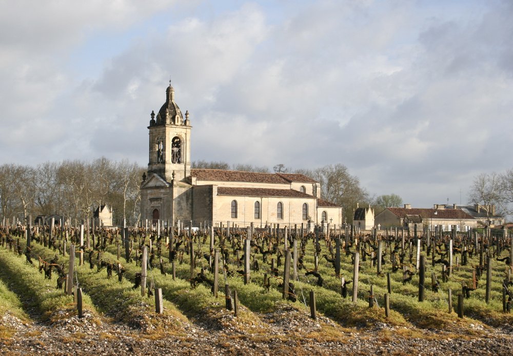 chateau margaux vineyards