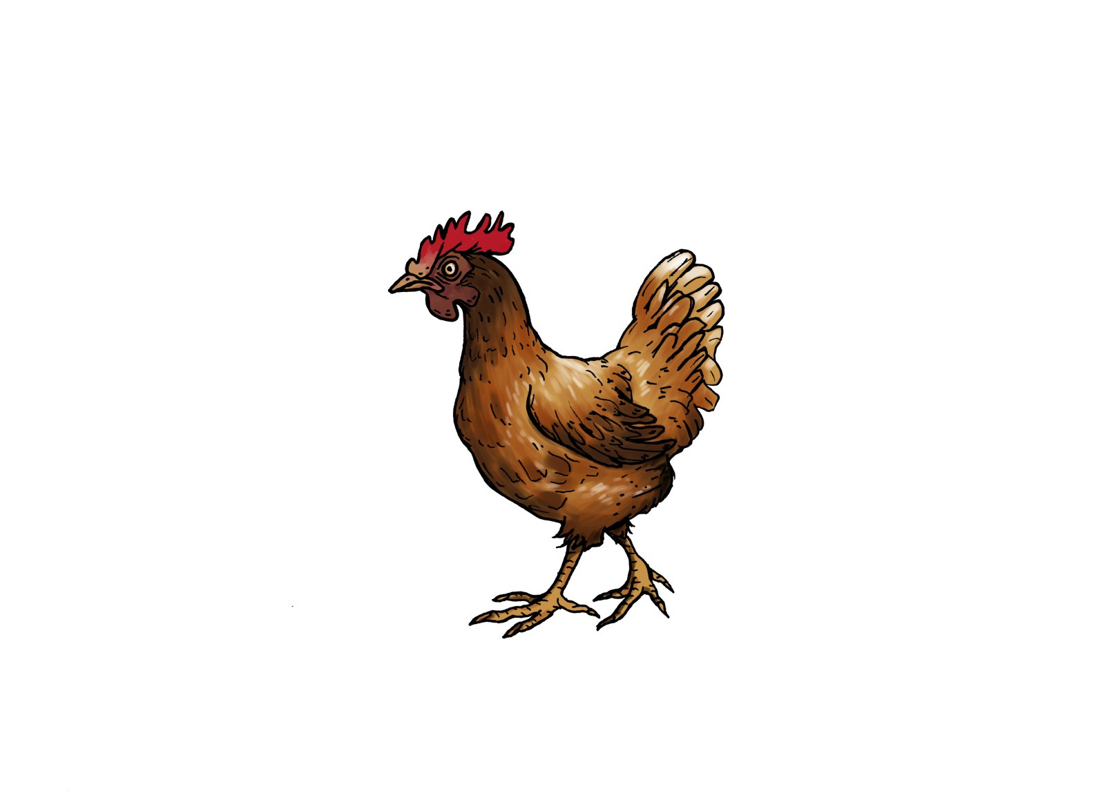 Chicken as a Luxury