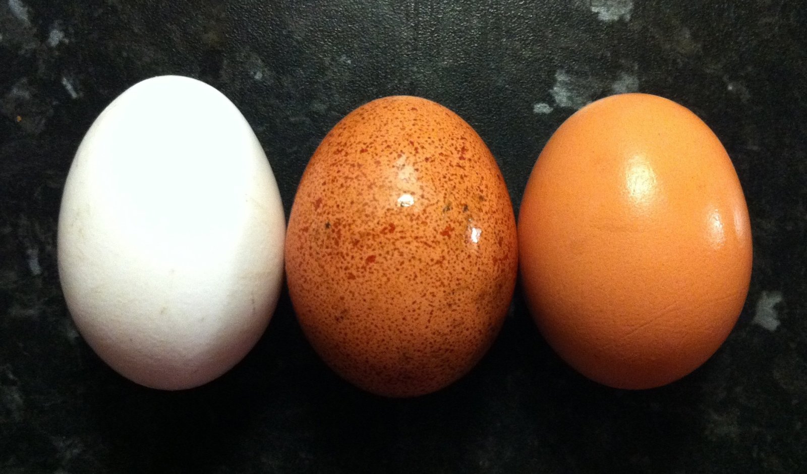 cured spicy eggs,