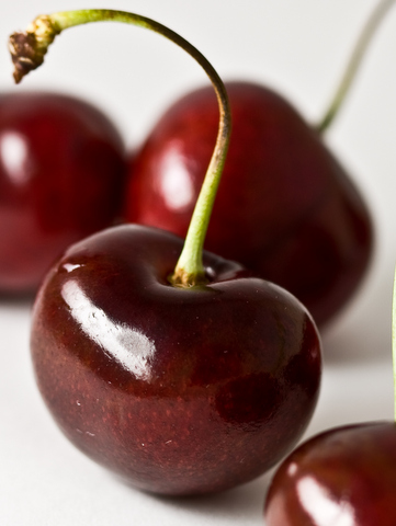 The Venerable Cherry