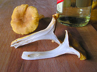 Sautéed Chanterelle Mushrooms
