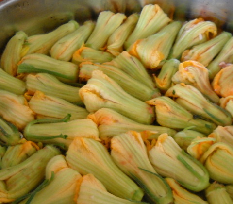 Stuffed Courgette Flowers