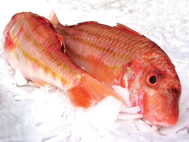 Marinated Red Mullet