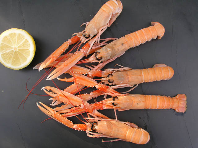 Dublin Bay Prawns