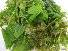 Lamb with Vine Shoots