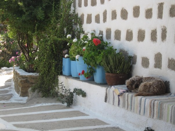 Pantelis Taverna in Marathi - One of the Best Beach Restaurants In The World