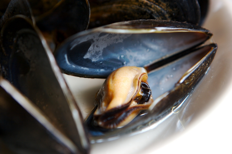 Regional Seafood Variations