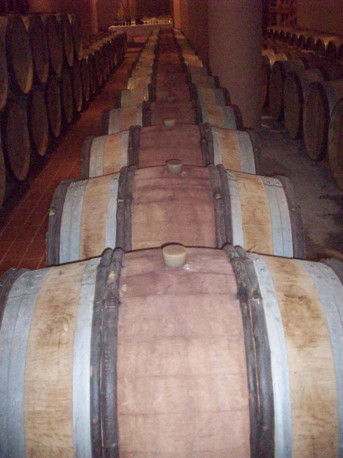 nemea_2013_202