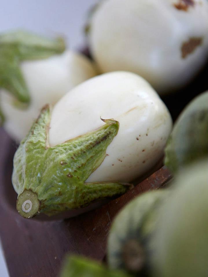 eggplant